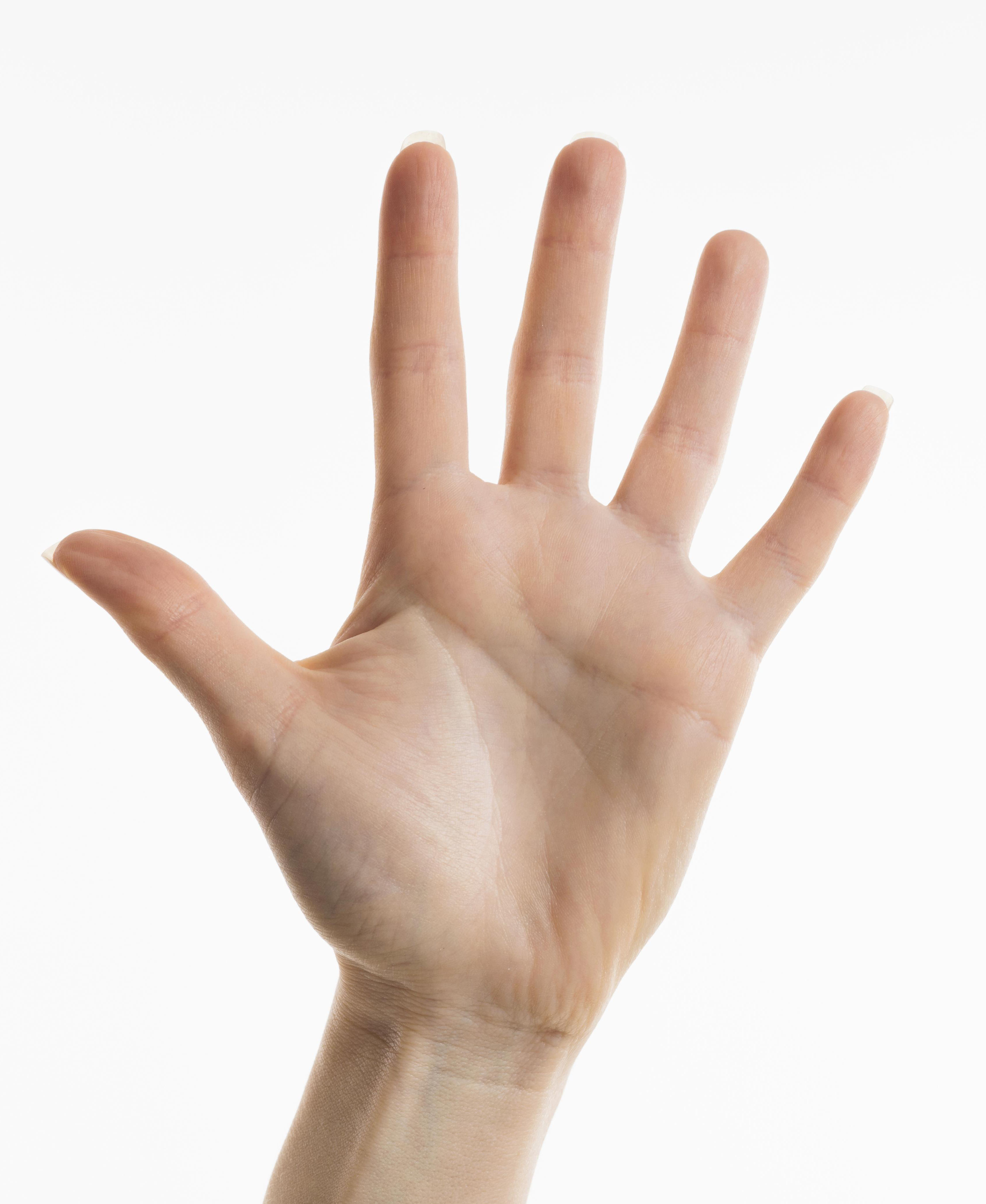 hand